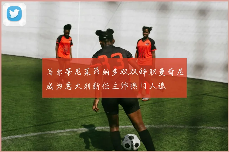 马尔蒂尼莱昂纳多双双辞职曼奇尼成为意大利新任主帅热门人选